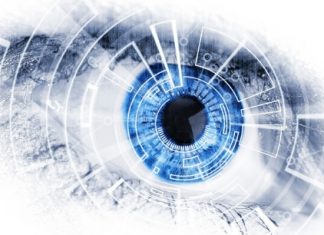 El equipo que ha bloqueado 15.000 webs de phishing Ojo informático