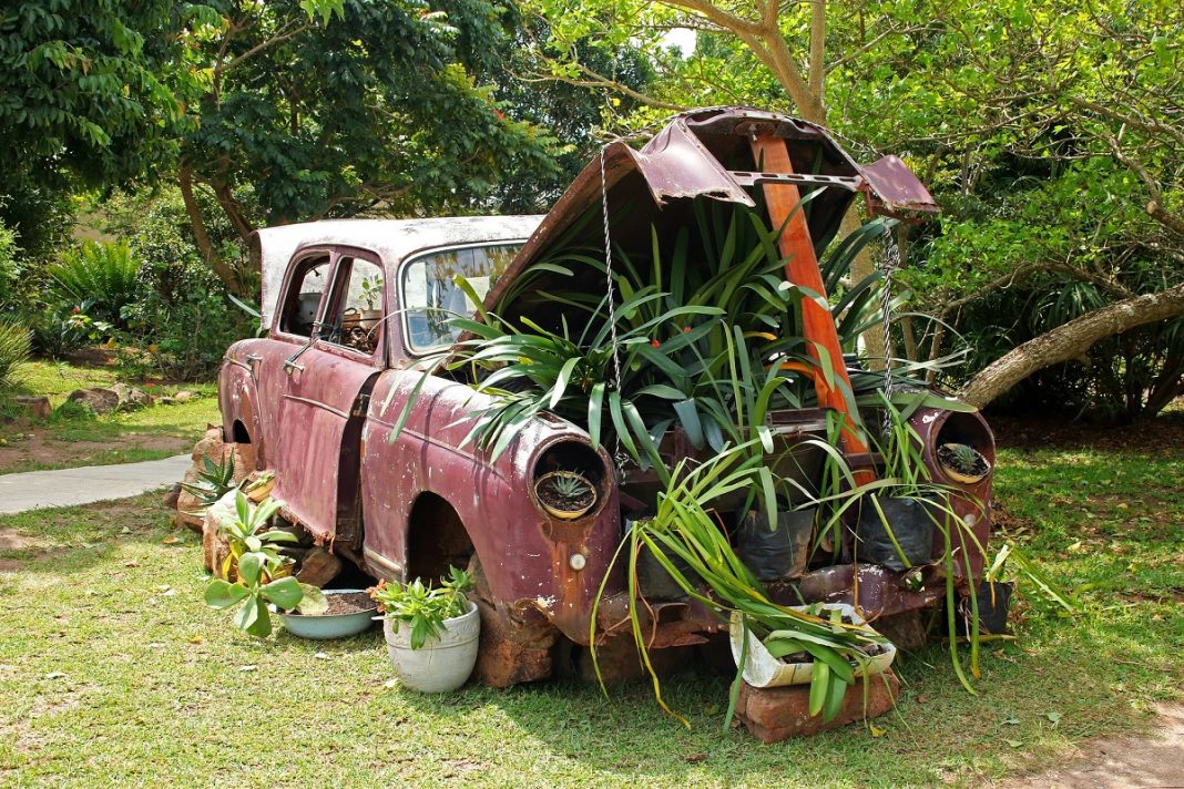 capó coche lleno de plantas