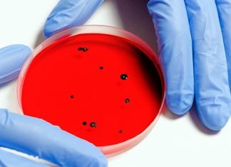 Mi especial llamamiento Coronavirus ciberataques