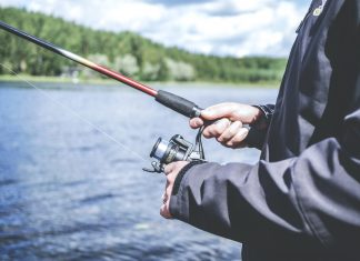 ¿Es el phishing la mayor ciberamenaza del coronavirus? phishing coronavirus