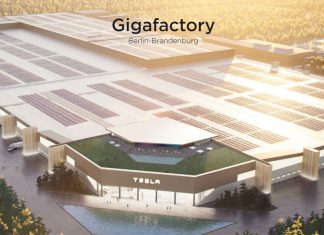 Los lagartos boicotean la futura fábrica de Tesla en Alemania Gigafactoría Tesla Berlín Alemania panorámica
