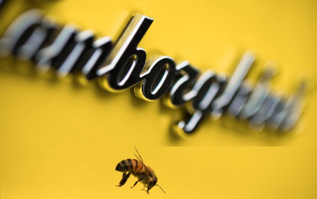 Imagen de una abeja junto al logo de un Lamborghini