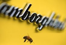 Por qué Lamborghini se dedica a espiar a las abejas Imagen de una abeja junto al logo de un Lamborghini