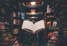 Cinco libros que todo amante de los coches -y el motor- debería leer en el Día Mundial de los Escritores Imagen de una librería