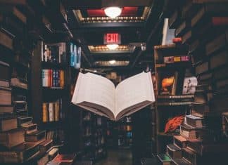 Cinco libros que todo amante de los coches -y el motor- debería leer en el Día Mundial de los Escritores Imagen de una librería