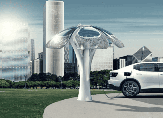 Qué son los árboles solares y cómo pueden cargar tu coche
