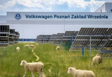 ¿Son las ovejas las mejores empleadas de esta fábrica de Volkswagen? Volkswagen fábrica Poznan Polonia ovejas